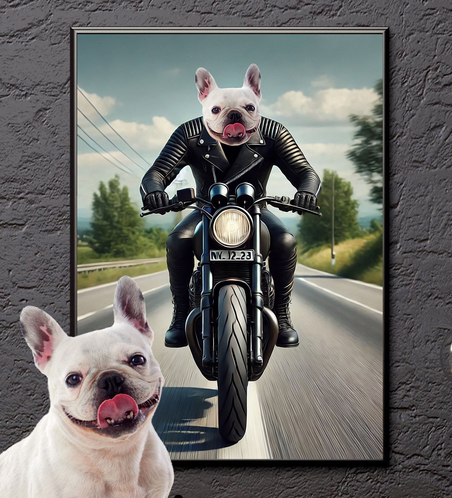 Custom Biker Pet Portrait Pet on Motorbike - Laila Shack