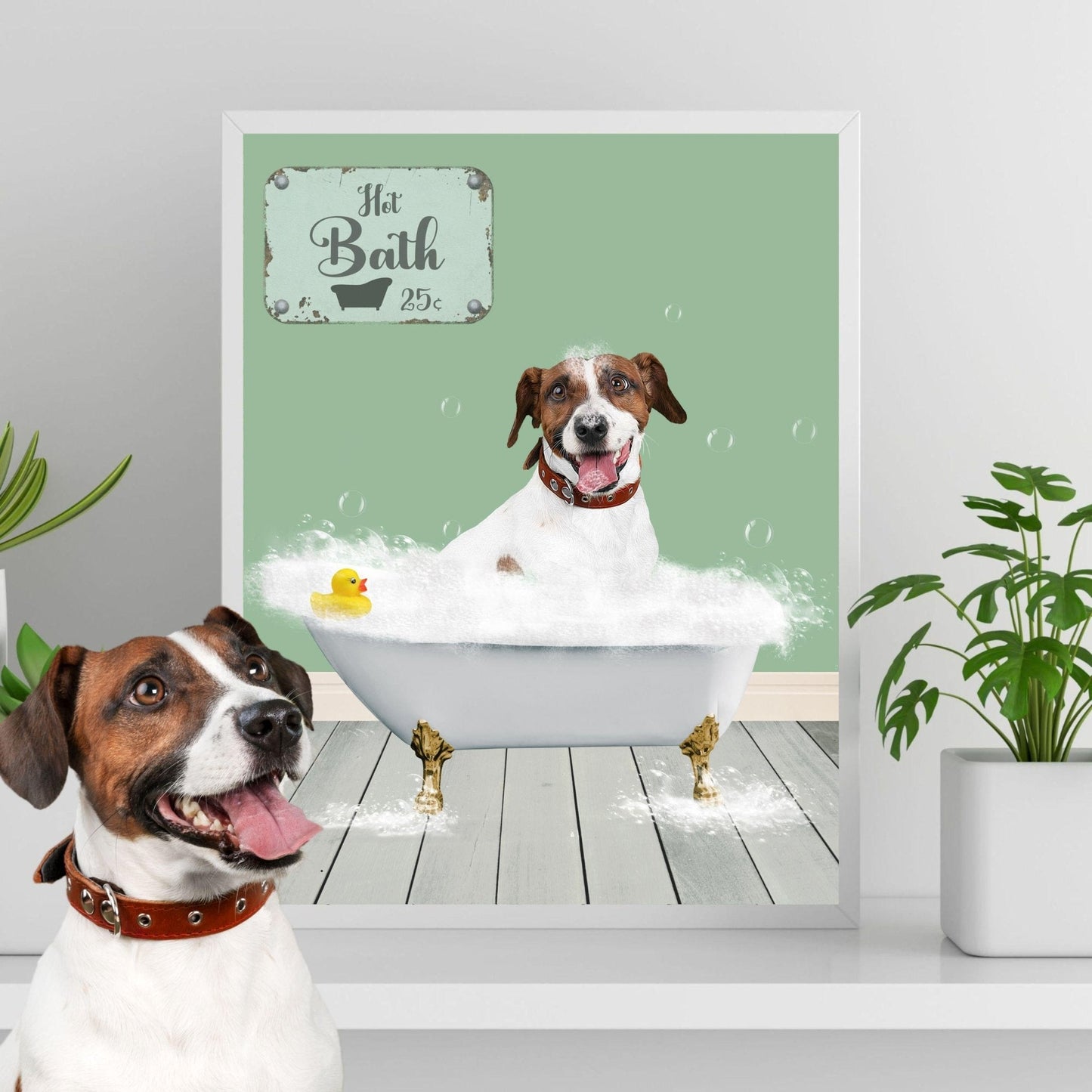 Custom Pet in Bathtub - Laila Shack