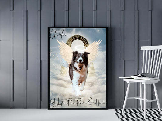 Pet Loss Portrait - Laila Shack