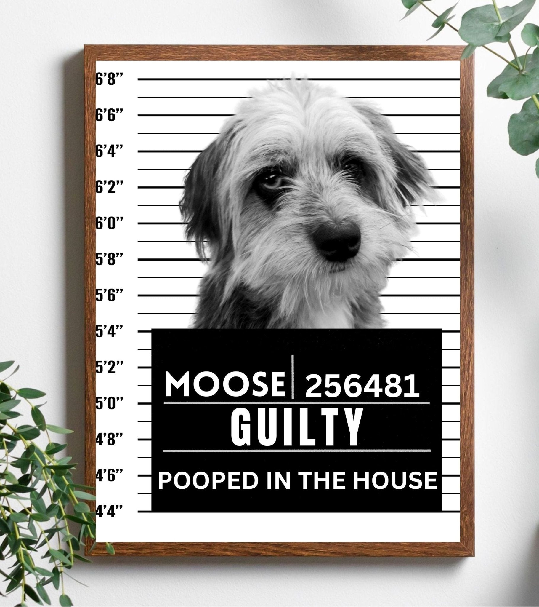 Custom Pet Mugshot - Laila Shack