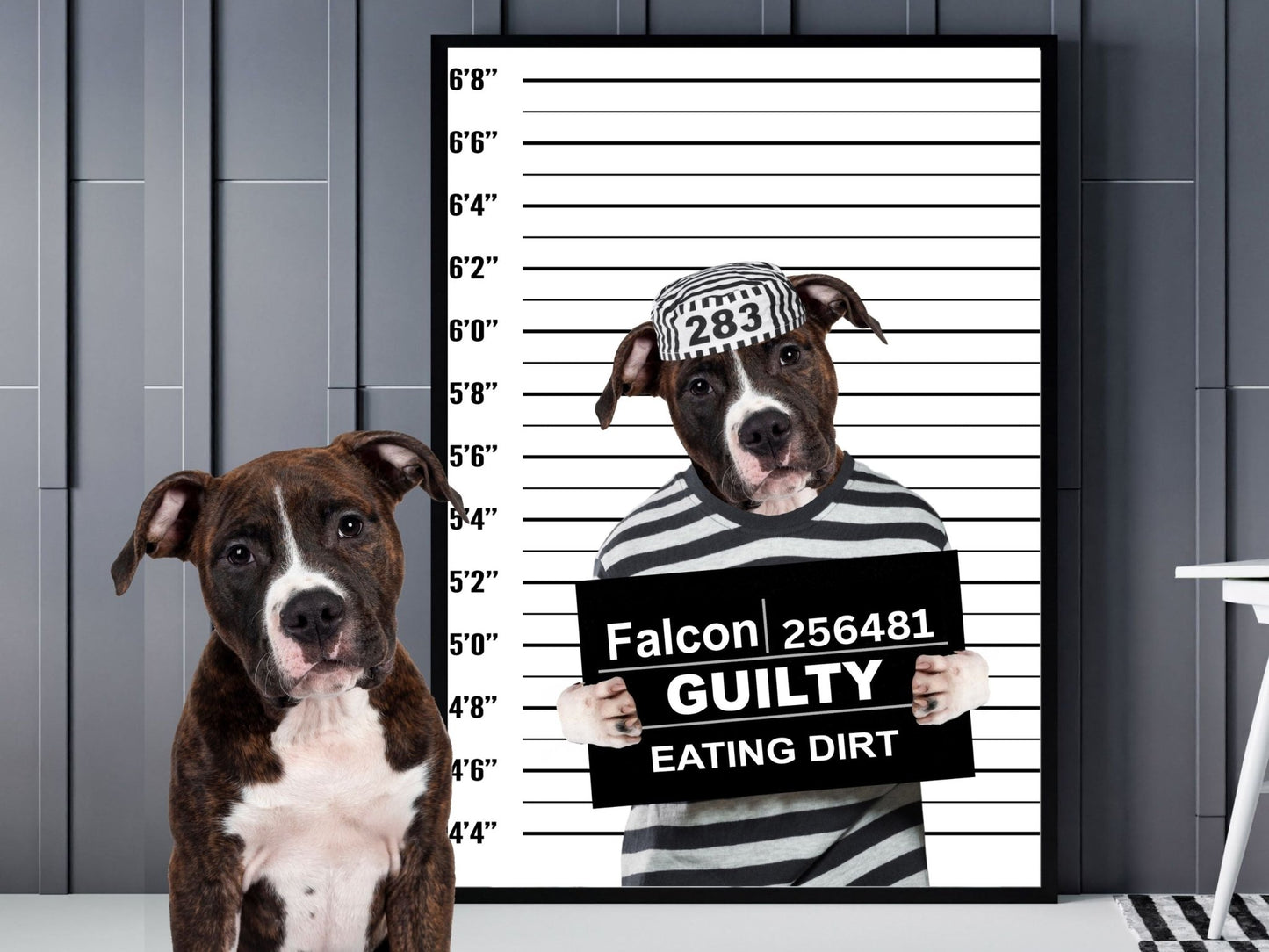 Custom Pet Mugshot - Laila Shack