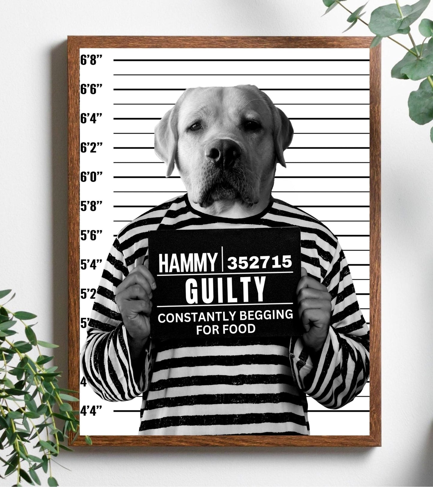 Custom Pet Mugshot - Laila Shack