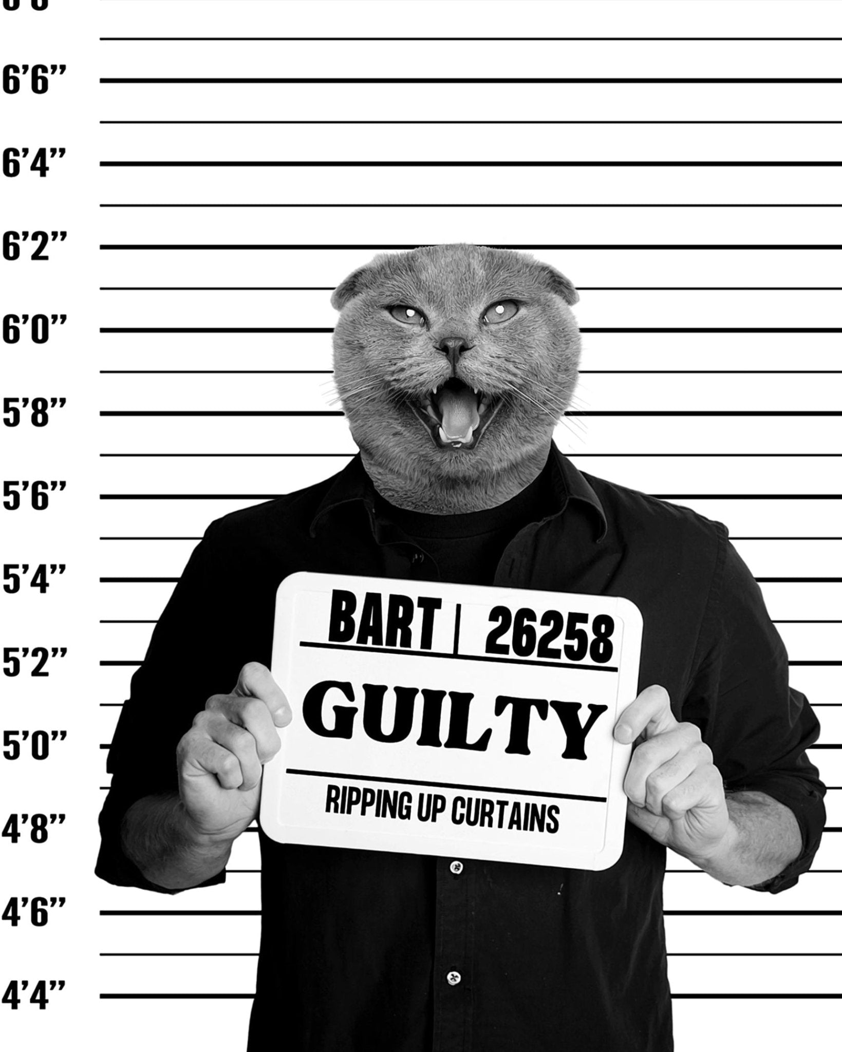 Custom Pet Mugshot - Laila Shack