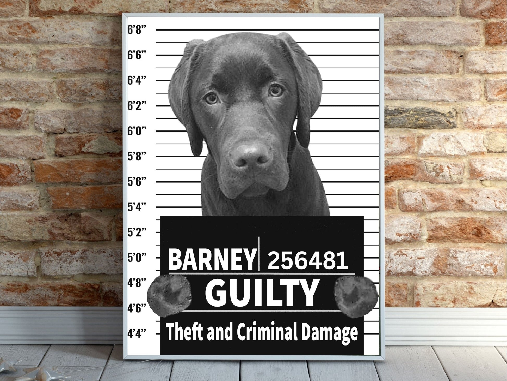 Custom Pet Mugshot Portrait - Laila Shack