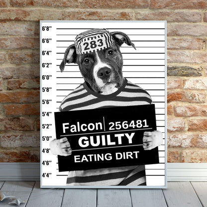 Custom Pet Mugshot Portrait - Laila Shack