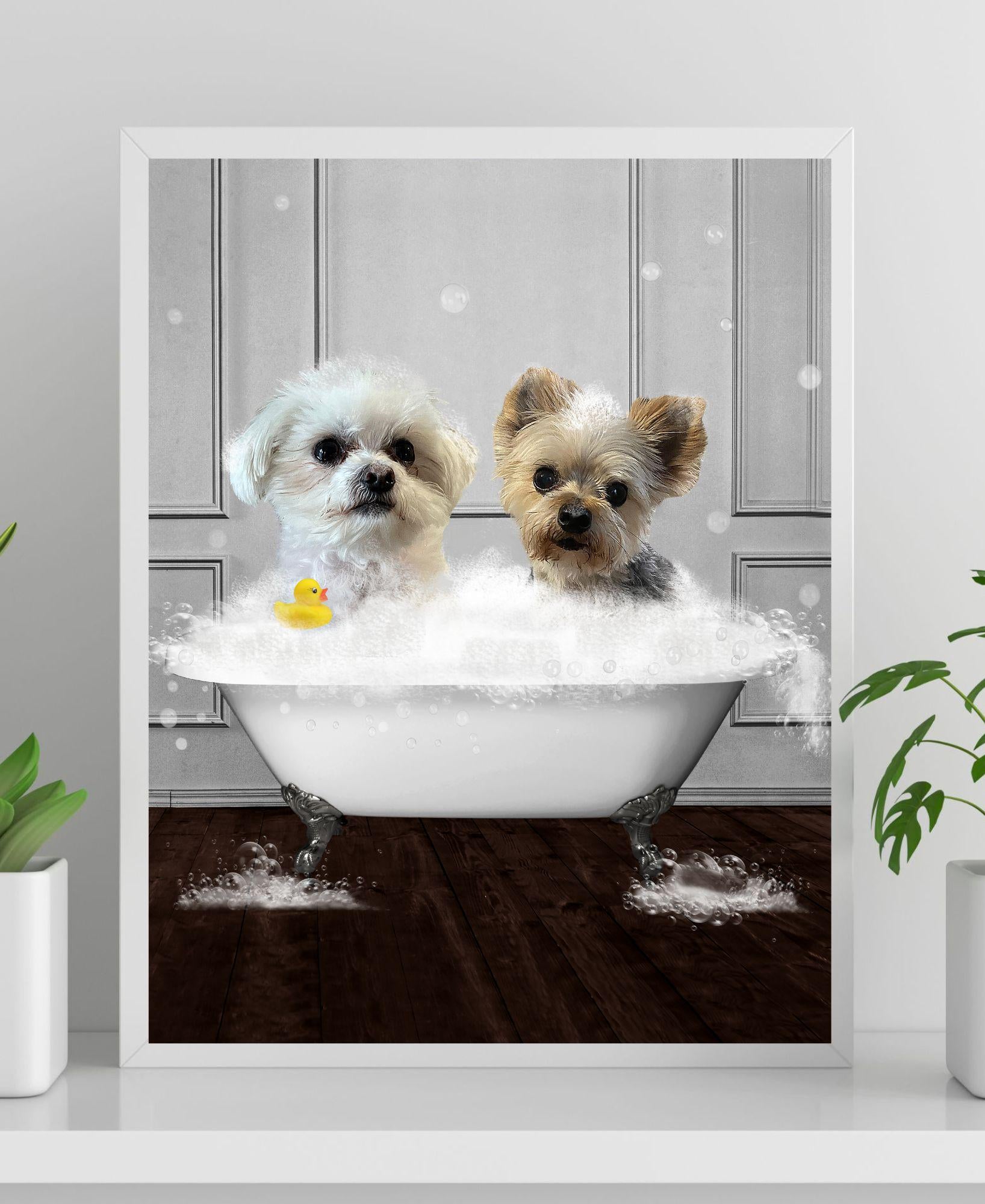 dogs bath portrait