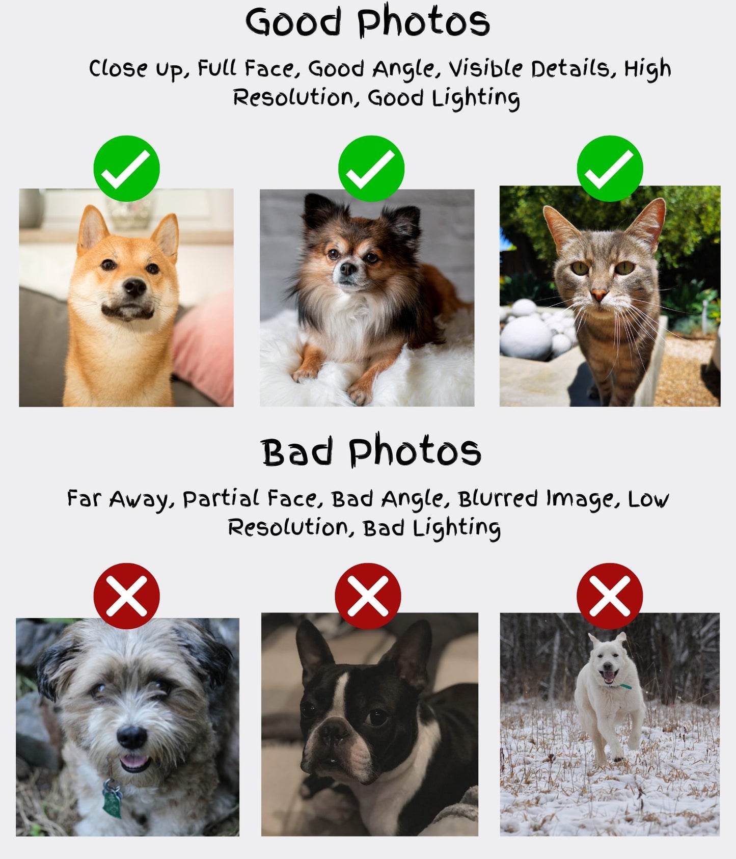 good and bad photos
